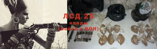 ГАЛЛЮЦИНОГЕННЫЕ ГРИБЫ Новокубанск