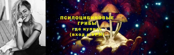 ГАЛЛЮЦИНОГЕННЫЕ ГРИБЫ Новокубанск