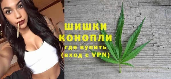 первитин Новодвинск