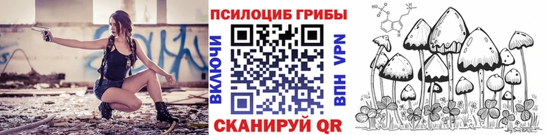 как найти наркотики Выборг Псилоцибиновые грибы MAGIC MUSHROOMS