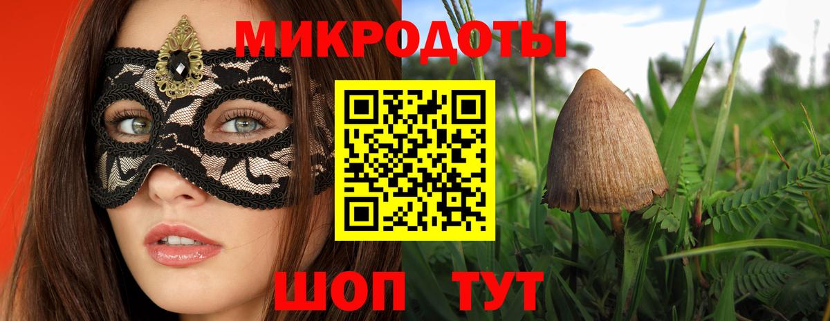 Галлюциногенные грибы Magic Shrooms  Вход с VPN  Псилоцибиновые грибы мицелий  Выборг 