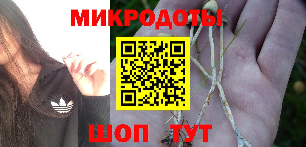 Галлюциногенные грибы прущие грибы Выборг