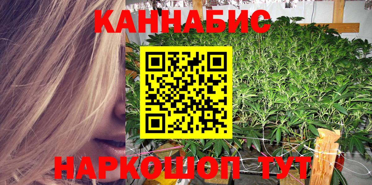 Конопля SATIVA & INDICA Выборг